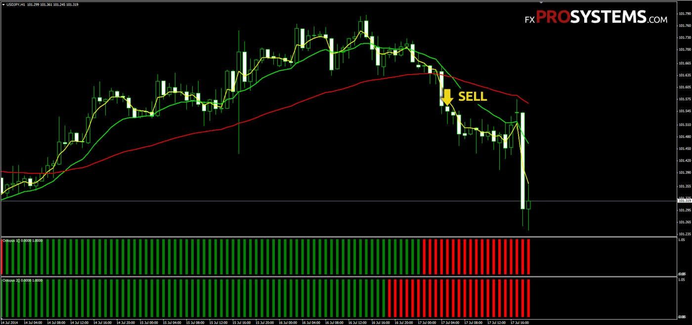 forex profit hunter download