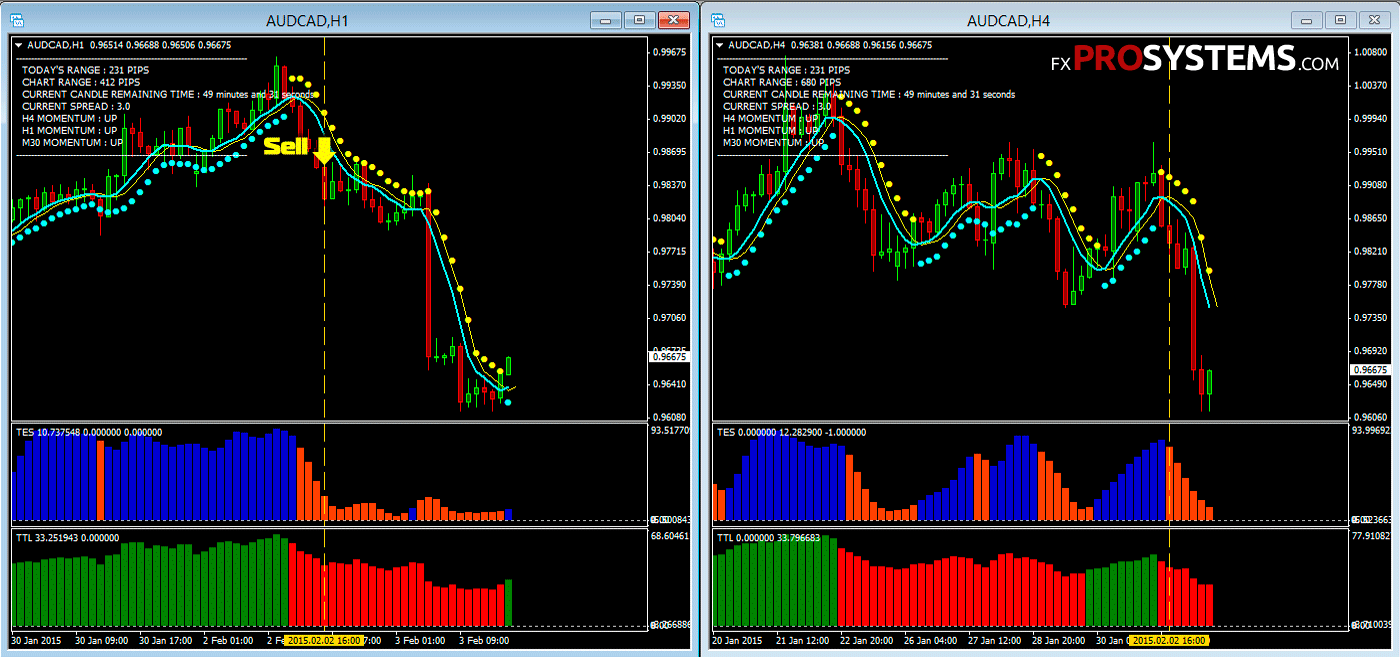 Forex trading trial